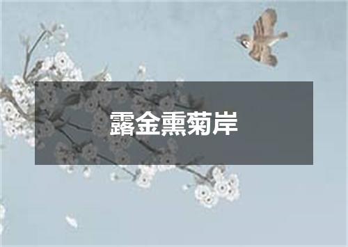 露金熏菊岸