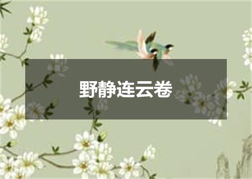 野静连云卷