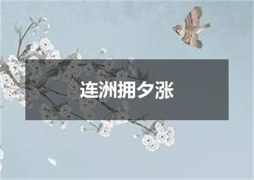 连洲拥夕涨