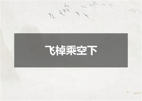飞棹乘空下