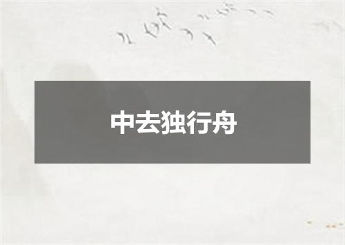 中去独行舟