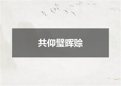 共仰璧晖赊