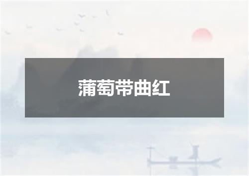 蒲萄带曲红