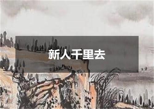 新人千里去