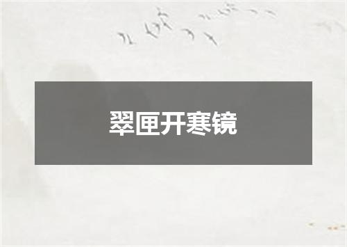 翠匣开寒镜