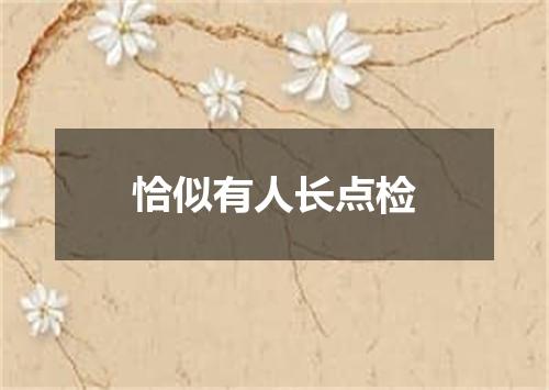 恰似有人长点检