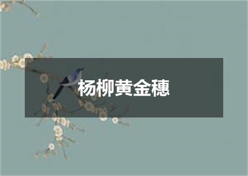 杨柳黄金穗