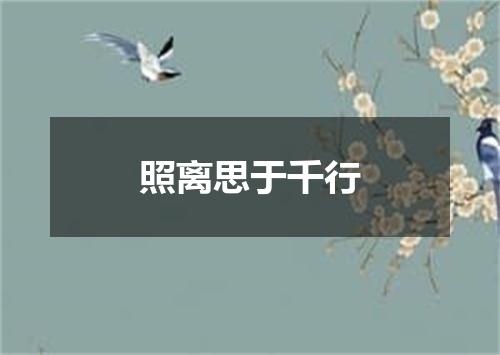 照离思于千行