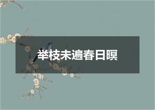 举枝未遍春日暝