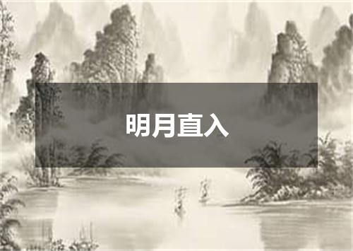 明月直入