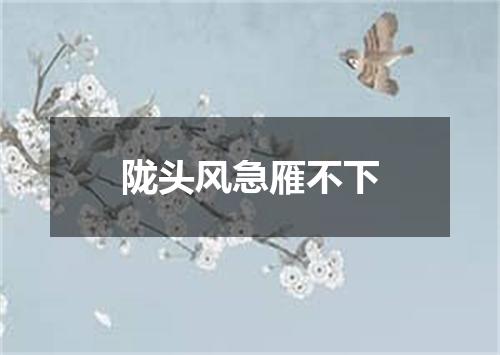 陇头风急雁不下
