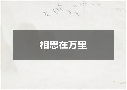 相思在万里