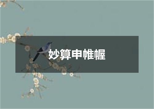 妙算申帷幄