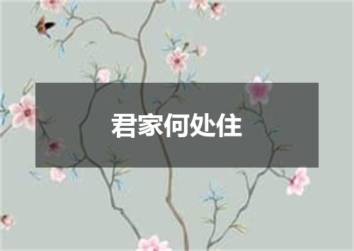 君家何处住