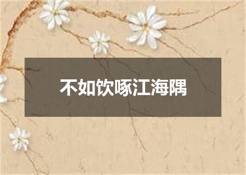 不如饮啄江海隅