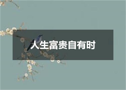 人生富贵自有时