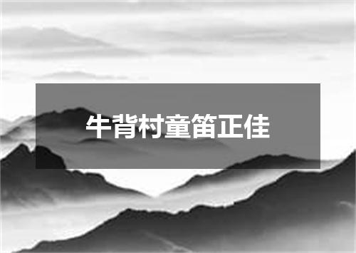 牛背村童笛正佳
