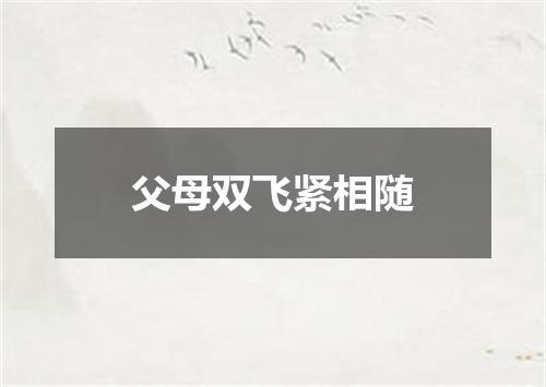 父母双飞紧相随