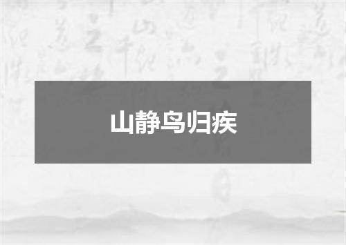山静鸟归疾