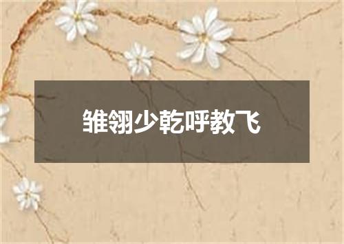 雏翎少乾呼教飞