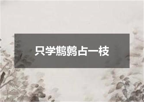 只学鹪鹩占一枝
