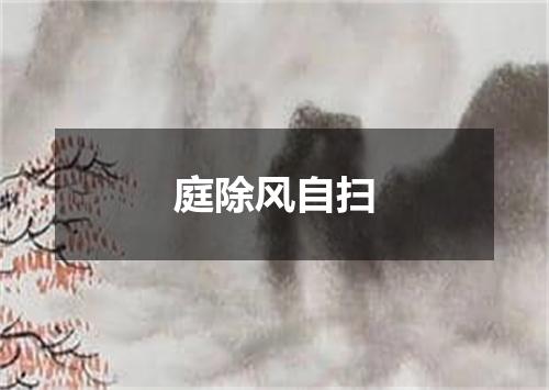 庭除风自扫