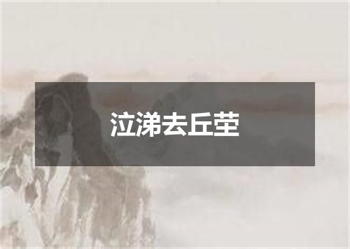 泣涕去丘茔