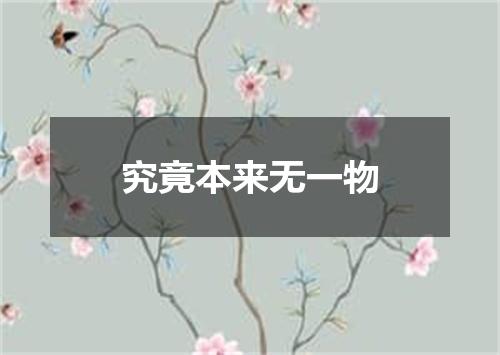 究竟本来无一物