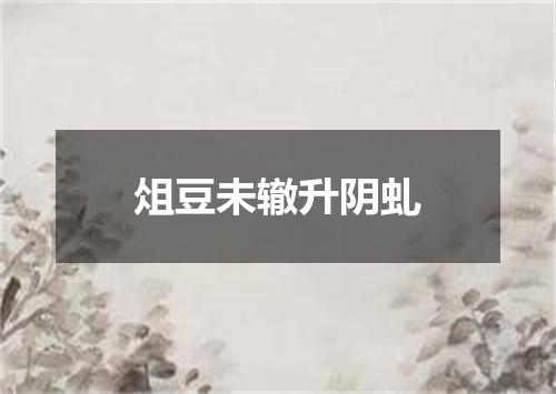 俎豆未辙升阴虬
