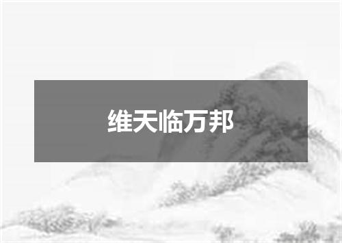 维天临万邦