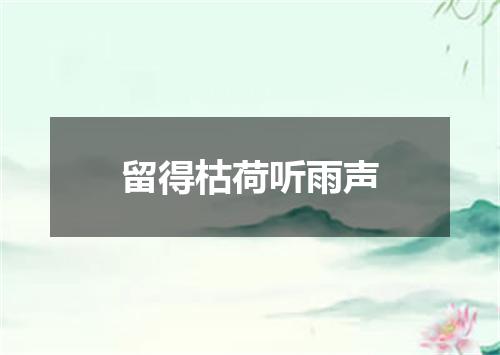 留得枯荷听雨声