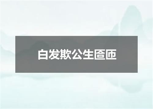 白发欺公生匼匝