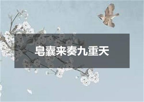 皂囊来奏九重天
