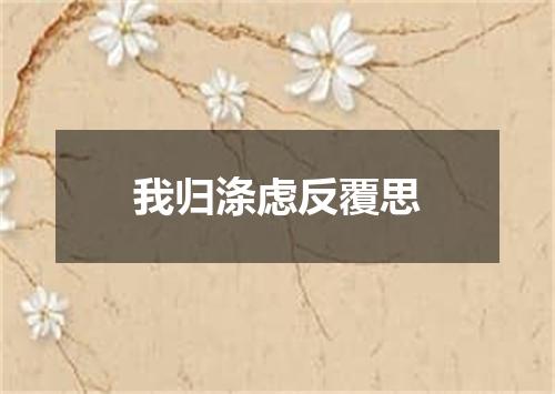 我归涤虑反覆思