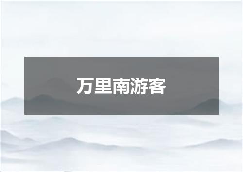 万里南游客