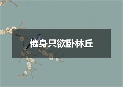 倦身只欲卧林丘