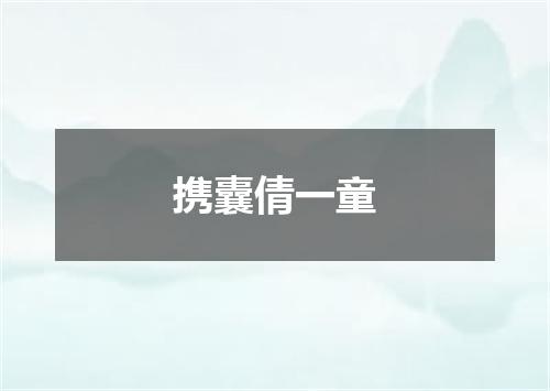 携囊倩一童
