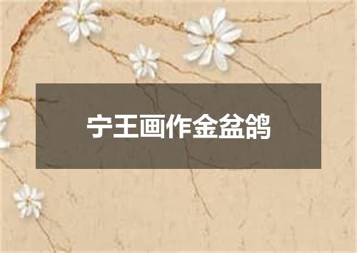 宁王画作金盆鸽