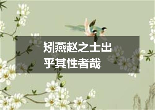 矧燕赵之士出乎其性者哉