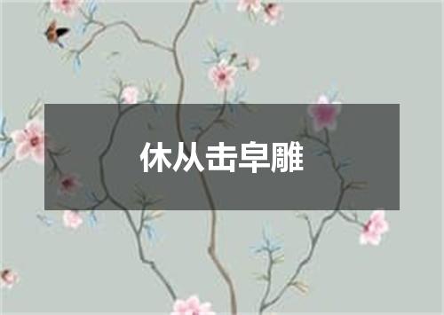 休从击皁雕