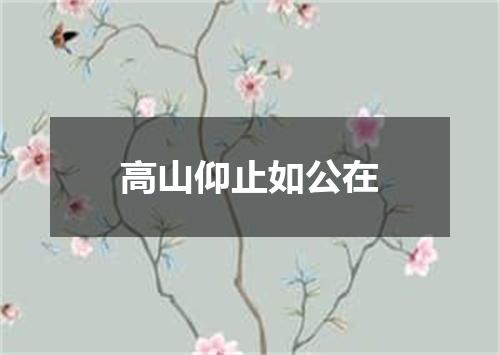 高山仰止如公在