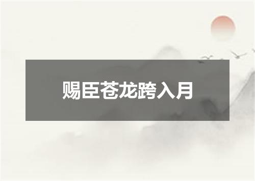赐臣苍龙跨入月