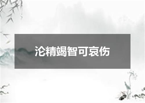 沦精竭智可哀伤