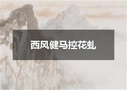 西风健马控花虬