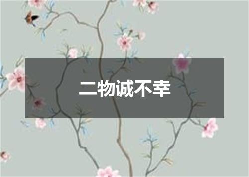 二物诚不幸