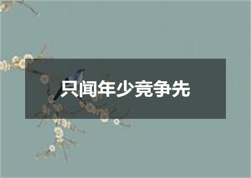 只闻年少竞争先