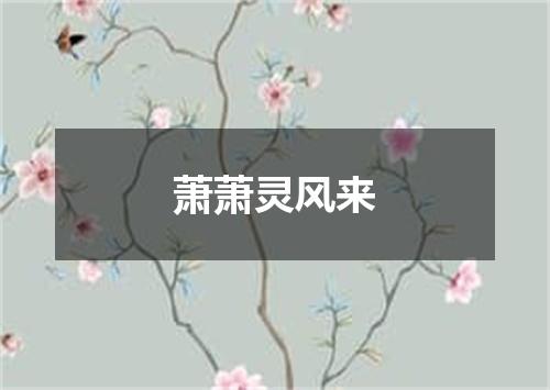 萧萧灵风来