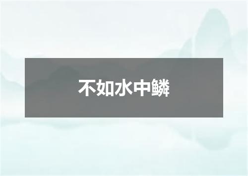 不如水中鳞