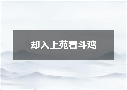 却入上苑看斗鸡