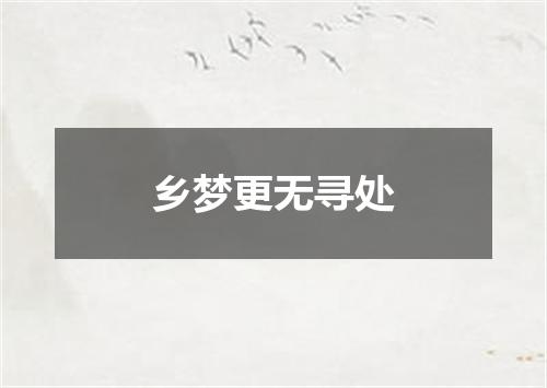 乡梦更无寻处